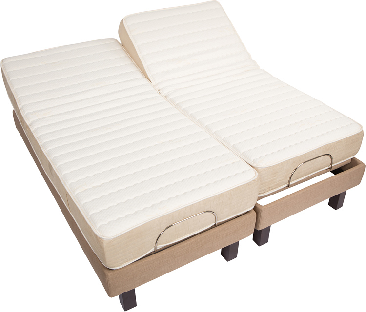 chandler adjustable beds latex foam replacement mattress